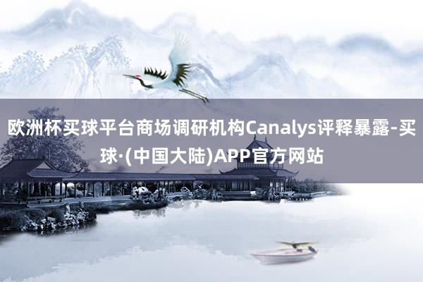 欧洲杯买球平台商场调研机构Canalys评释暴露-买球·(中国大陆)APP官方网站