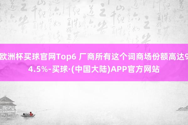 欧洲杯买球官网Top6 厂商所有这个词商场份额高达94.5%-买球·(中国大陆)APP官方网站