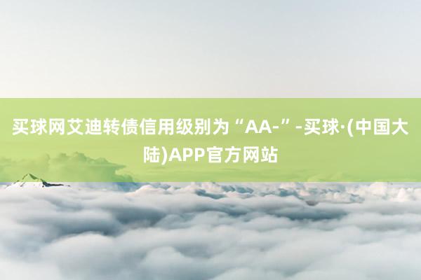 买球网艾迪转债信用级别为“AA-”-买球·(中国大陆)APP官方网站