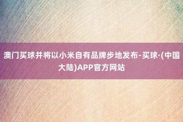 澳门买球并将以小米自有品牌步地发布-买球·(中国大陆)APP官方网站