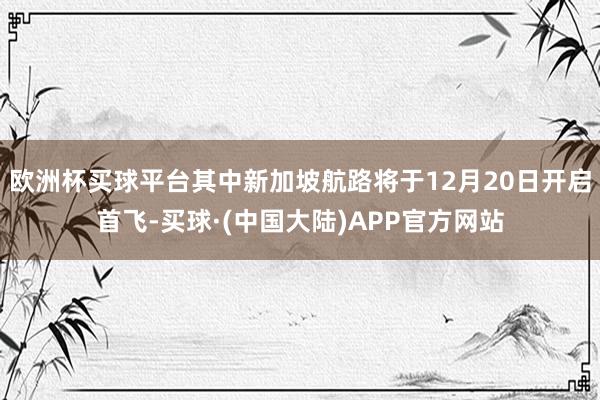 欧洲杯买球平台其中新加坡航路将于12月20日开启首飞-买球·(中国大陆)APP官方网站