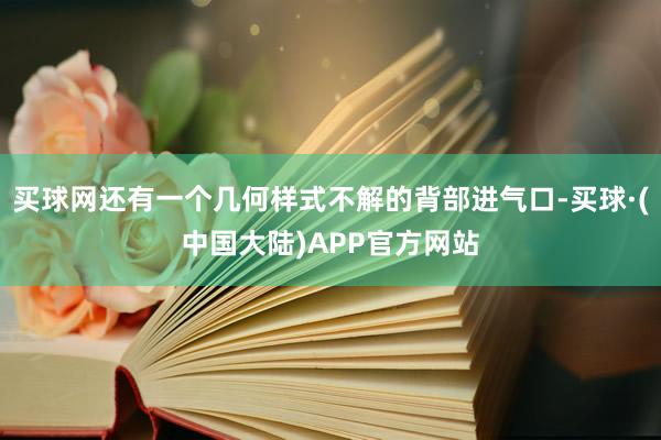 买球网还有一个几何样式不解的背部进气口-买球·(中国大陆)APP官方网站