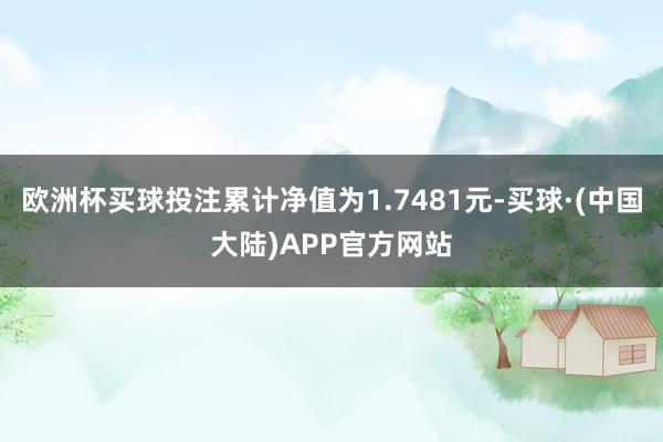 欧洲杯买球投注累计净值为1.7481元-买球·(中国大陆)APP官方网站