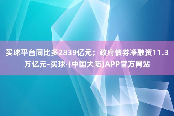 买球平台同比多2839亿元；政府债券净融资11.3万亿元-买球·(中国大陆)APP官方网站