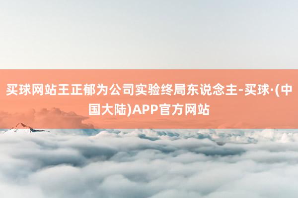 买球网站王正郁为公司实验终局东说念主-买球·(中国大陆)APP官方网站